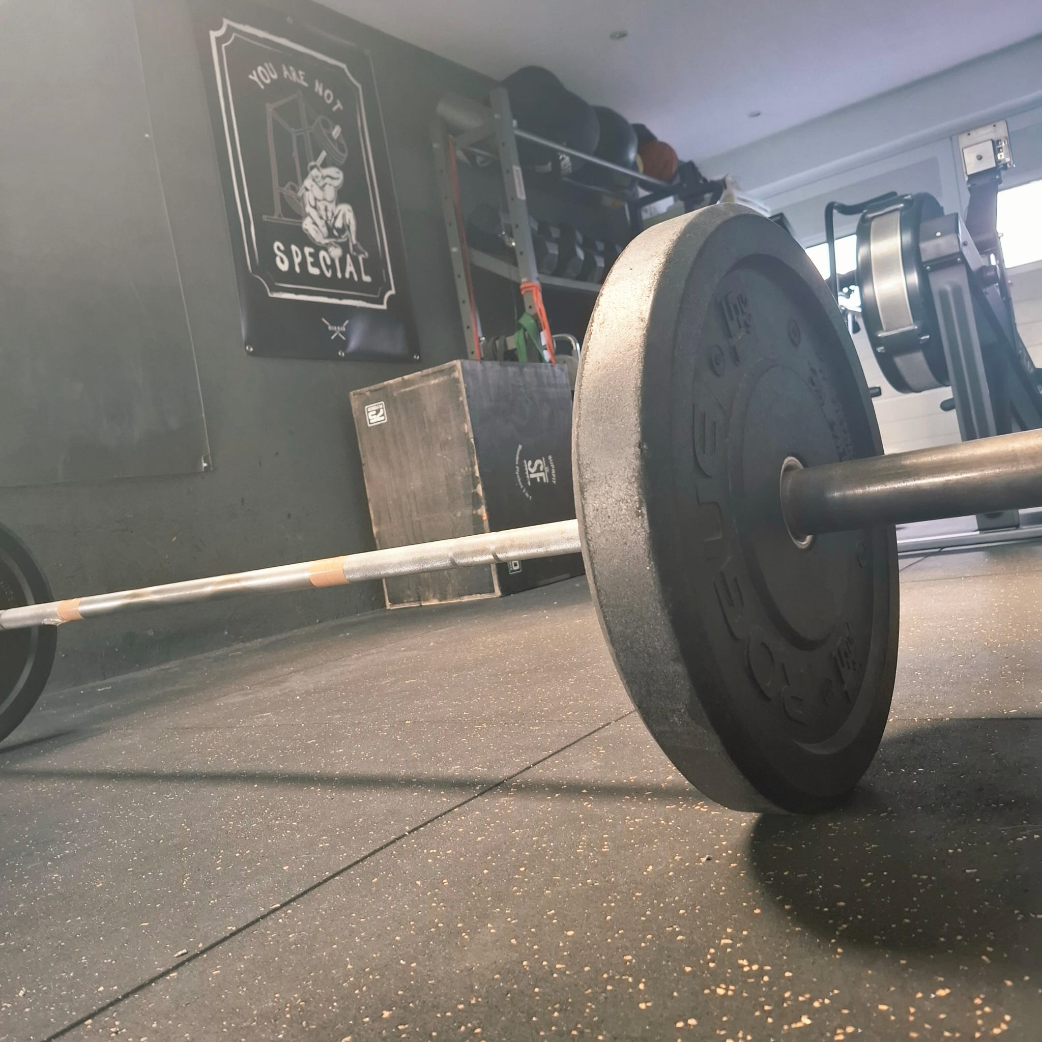 Functional Training